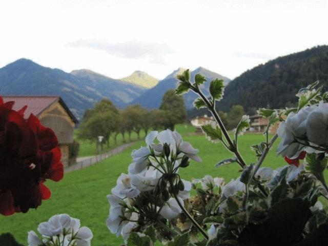 Haus Friedl Hotell Kitzbühel Eksteriør bilde